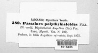 Passalora polythrincioides image